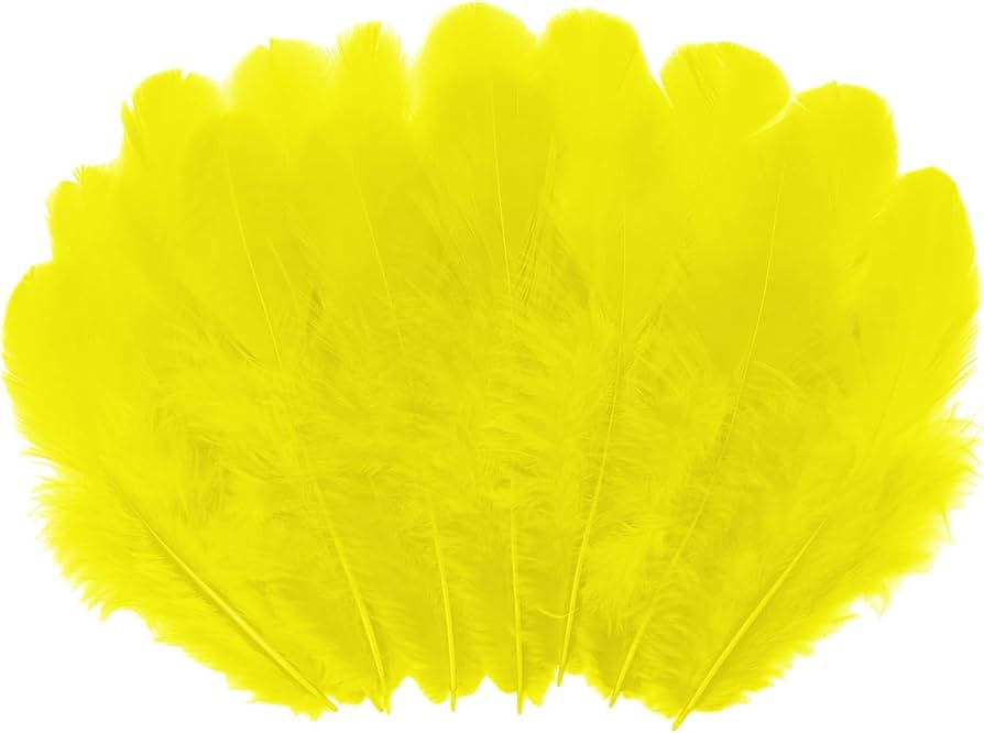 500pcs-Yellow Rooster Feathers 3-5inch Bulk Feathers for Crafts DIY Dream Catcher Supplies（500p... | Amazon (US)