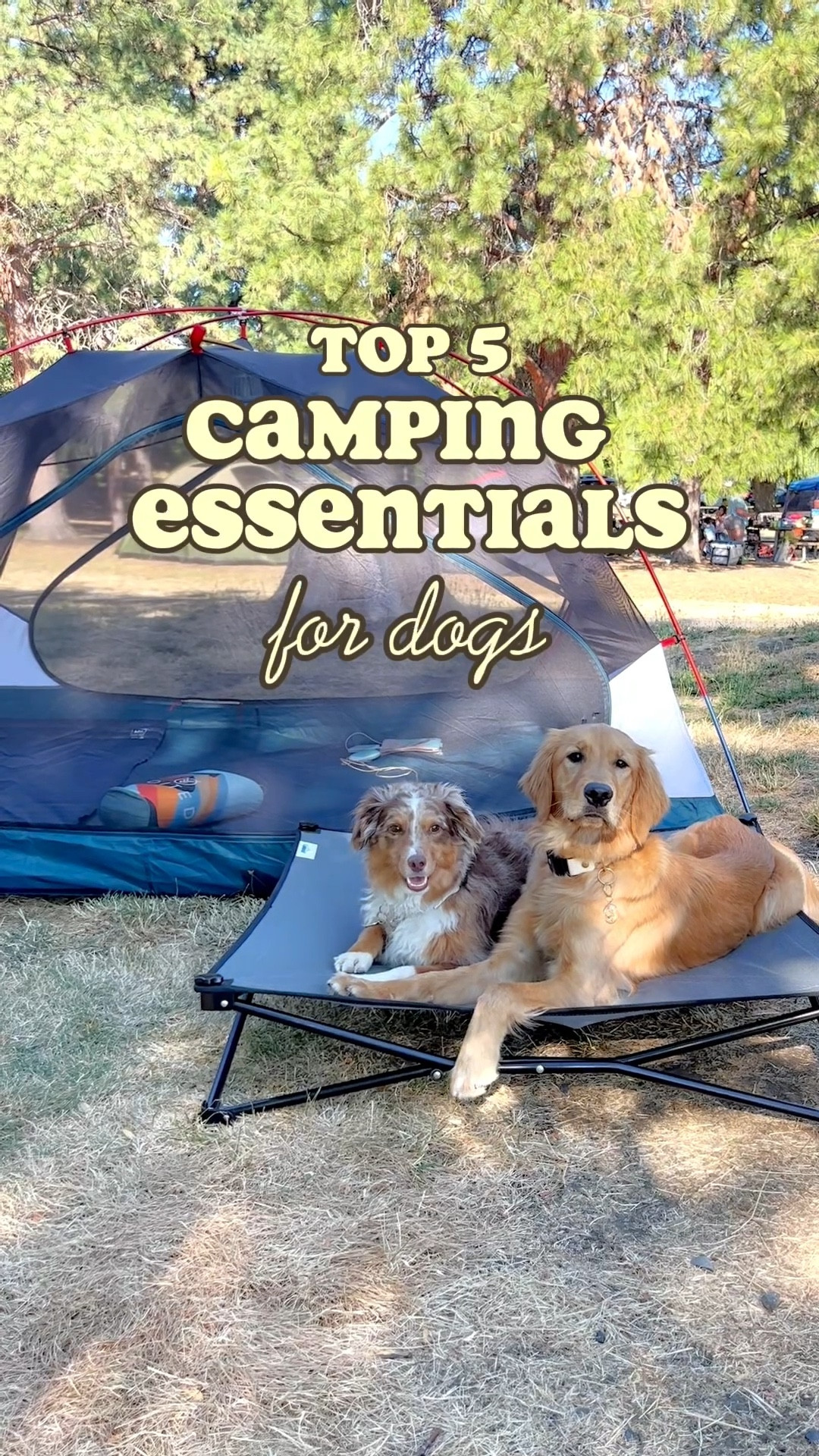 Our fave camping essentials! 🏕️

