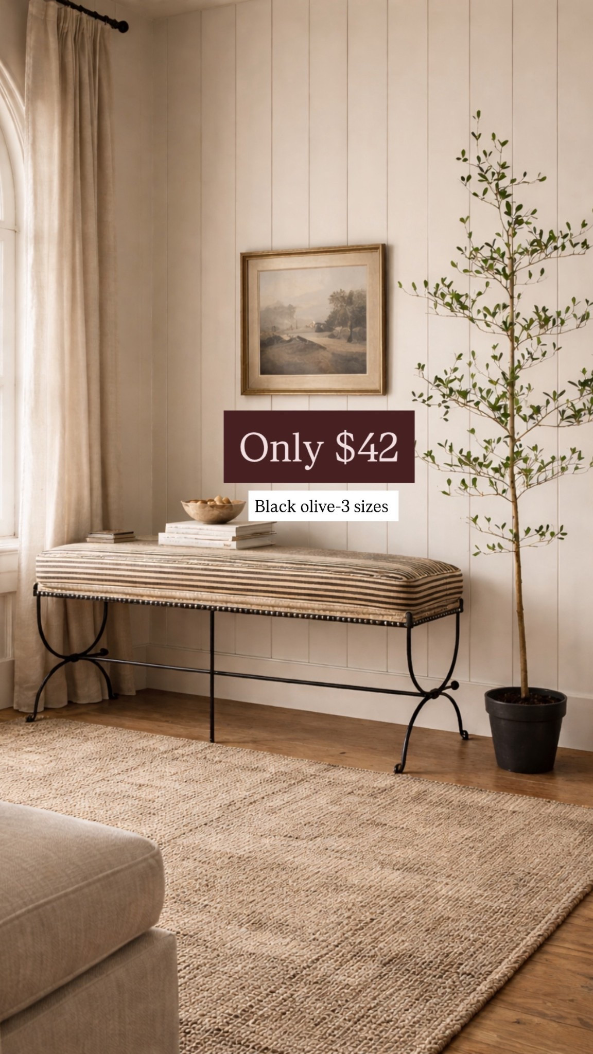 What a beautiful, black olive tree I’ve never seen one priced this slow would be perfect to replace your Christmas tree as I know many of you have done or are still doing spring decor winter decor, winter refresh

#LTKSaleAlert #LTKHome