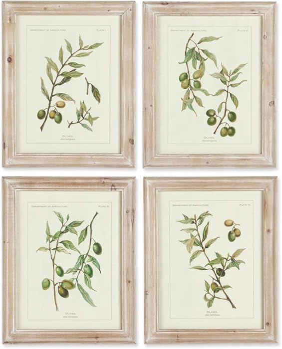 Napa Home & Garden Framed Olive Leaf Botanical Prints Set of 4 - Beautiful Nature Illustrations i... | Amazon (US)