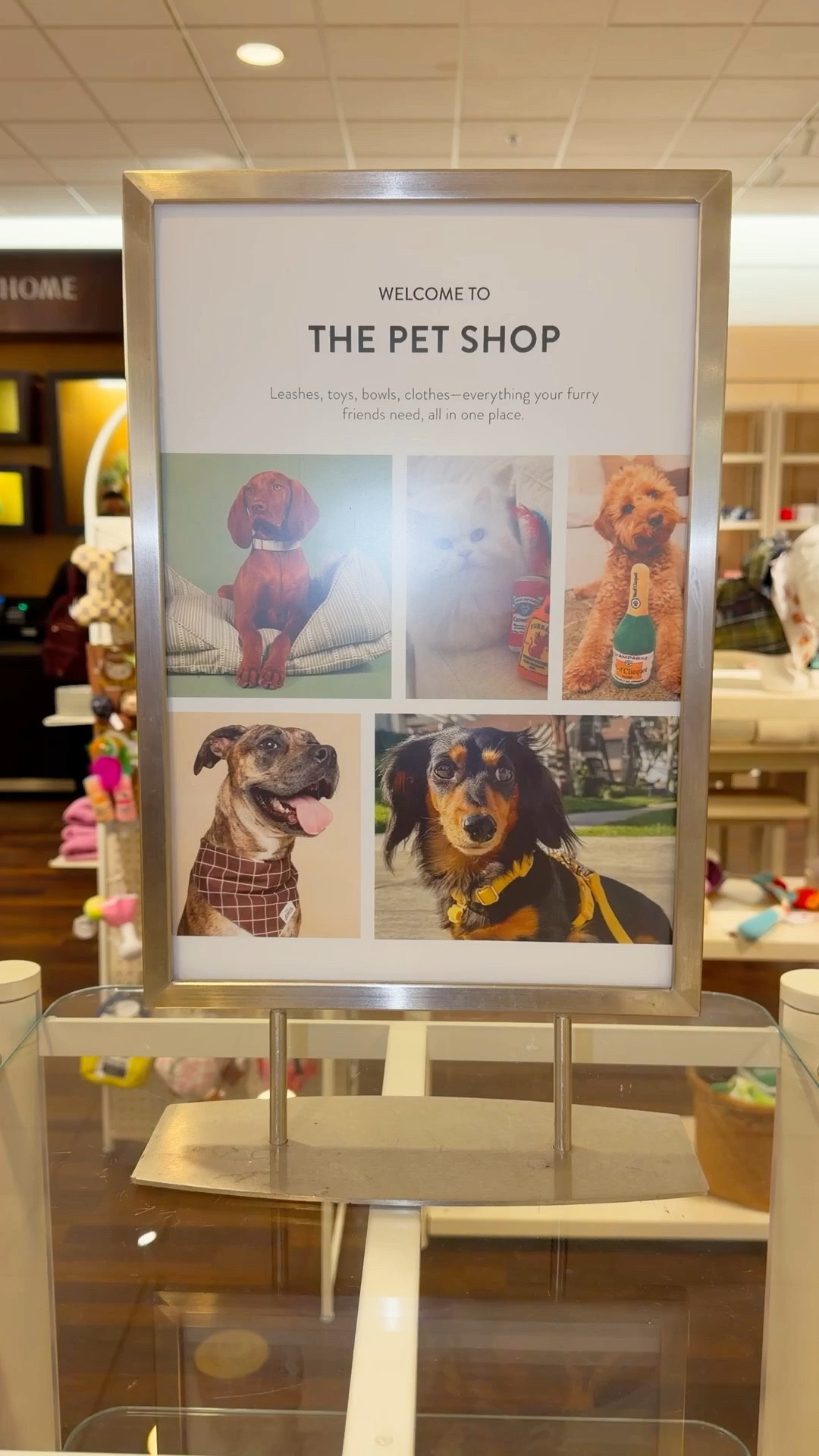 Nordstrom Has Everything For Your Fury Friends! Go Shop The Pet Shop NOW! 🐶🐾🐱
.
.
.


#LTKmorningroutine #LTKSpringSale #LTKdayinmylife