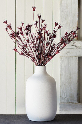 Anthropologie | Anthropologie (US)