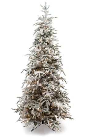 6' Lighted Artificial Fir Christmas Tree | Wayfair North America