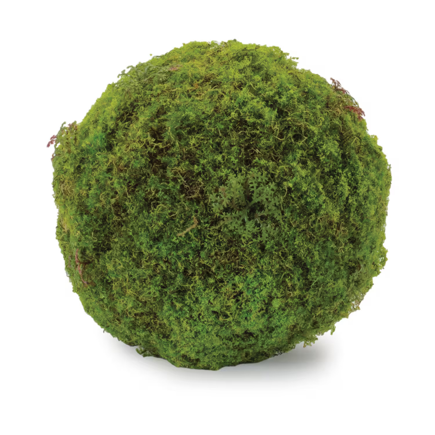 BreeBe - Faux Moss Orb (Set of 2) - Green | Best Buy U.S.