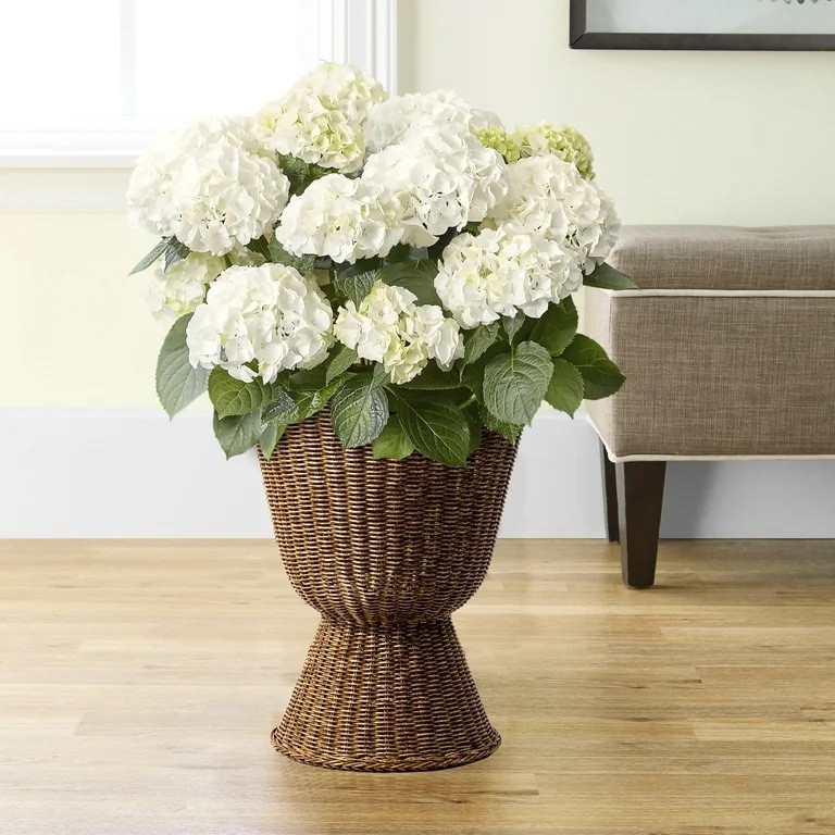 My Texas House 14" Brown Woven Urn-Style Planter with Decorative Scalloped Rim and Transparent Inner Lining

#LTKHome