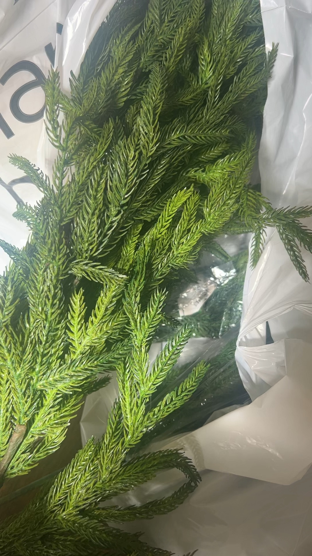 Nice faux garland option for Christmas! 


Christmas decor, greenery, stair garland, mantle garland

#LTKhome #LTKHoliday #LTKfindsunder50