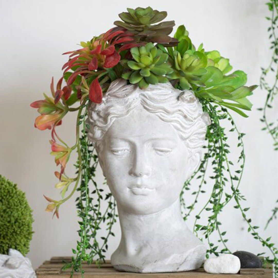 Large Grecian Bust Face Planter Pot for Succulents, Flowers or Plants | Succulent Planter | Face ... | Etsy (US)