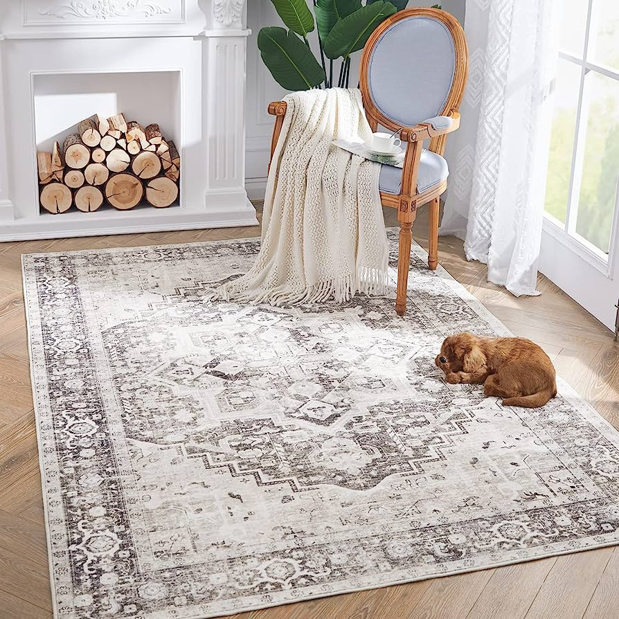 jinchan Area Rug 3x5 Persian Rug Indoor Entryway Vintage Rug Floor Cover Greige Print Rug Retro D... | Amazon (CA)