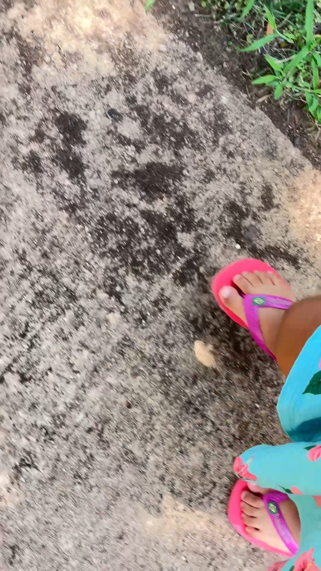 Toddler Havaianas 🩷🩴 the cutest and comfy flip flops

#LTKSaleAlert #LTKKids #LTKootd