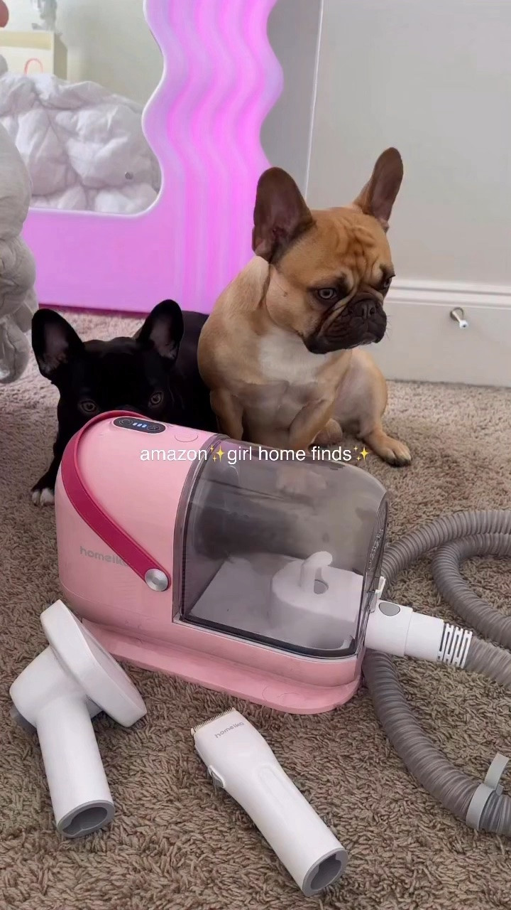 Viral favorite✨amazon girl home finds✨ RESTOCKED! 

Pink paper towels, reusable paper towels, favorite purchases, dog grooming, pink dog grooming kit, amazon home finds, amazon gadgets, amazon 2024 must haves, amazon best sellers, pink aesthetic home, girly home apartment finds, aesthetic kitchen gadgets, girly things, necklace hanger, fireplace diffuser, fire humidifier oil diffuser aesthetic, jewelry organization, organized home
#LTKVideo #LTKfindsunder50
#LTKhome #LTKdayinmylife #LTKmomlife #LTKgrwm #LTKmorningroutine #LTKSeasonal #LTKU #LTKOver40 #LTKSaleAlert

#LTKHome #LTKselfcare #LTKvlog