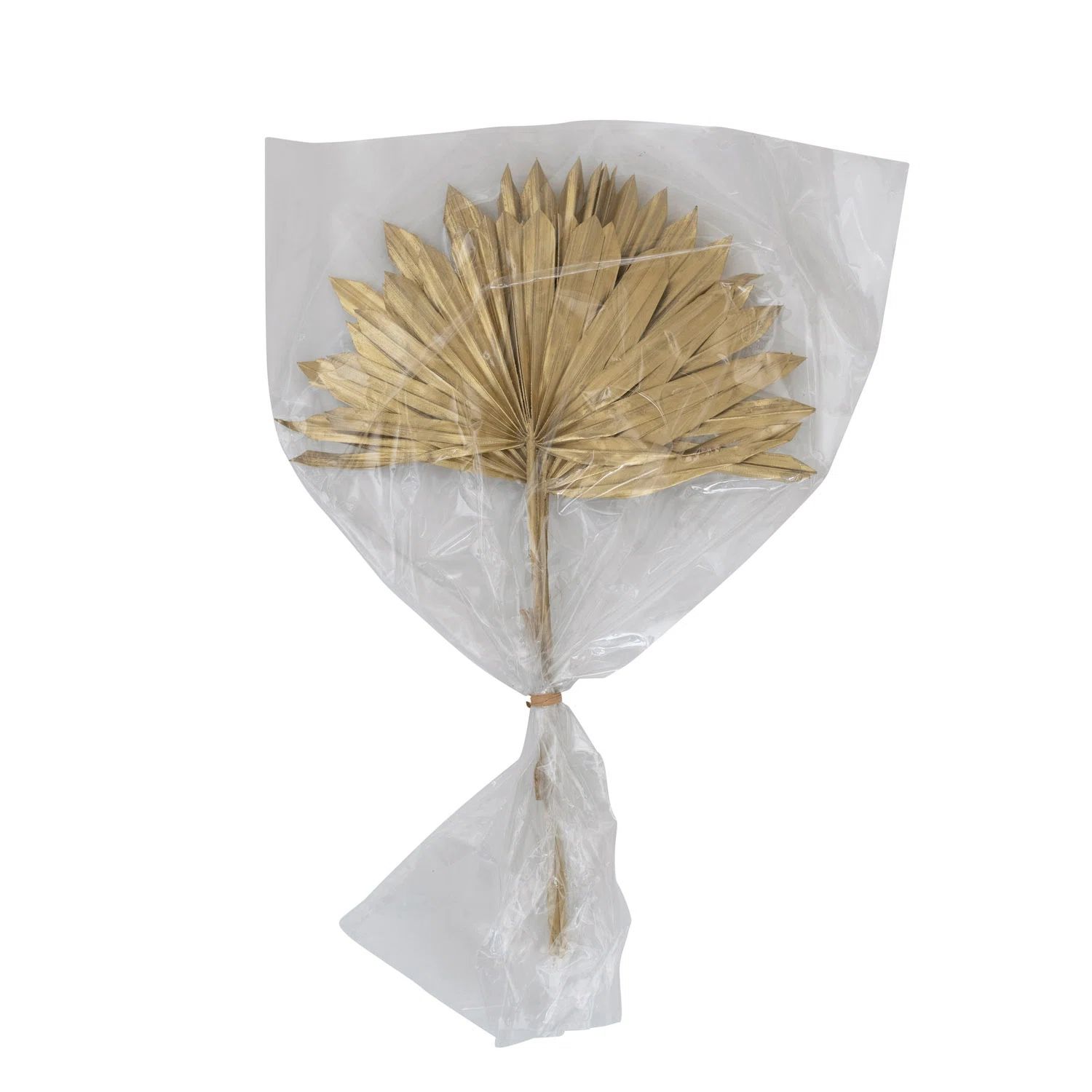 Primrue Dried Natural Sun Cut Palm Bunch | Wayfair | Wayfair North America