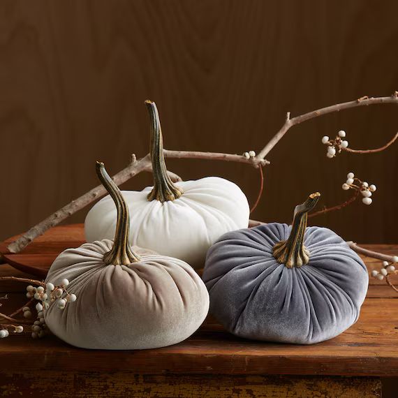 Velvet Pumpkins set of 3 Large, Fall wedding centerpiece, modern rustic wedding decor, mantle decor, | Etsy (US)