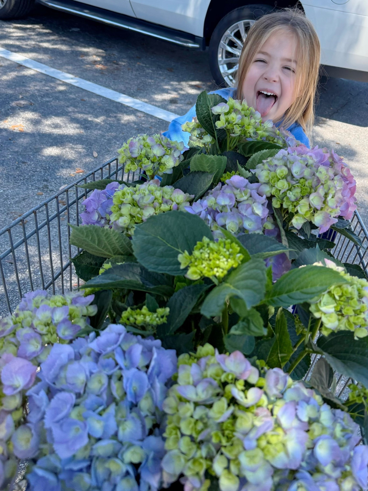 Picked up some fresh flowers today 🪻🌸 Lowe’s has the best selection right now 


#springflowers #freshflowers #hydrangeas #frontporch #springporch #lowes  

#LTKSeasonal #LTKHome