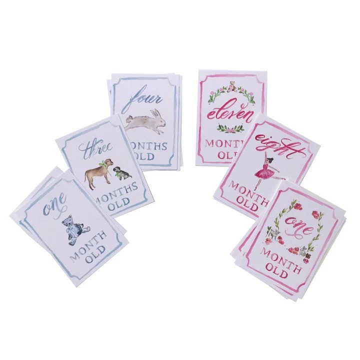 Monthly Milestone Card Set | Over The Moon Gift