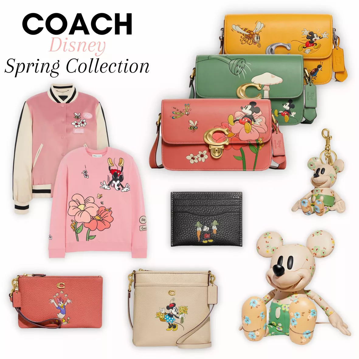 Disney x Coach Collection