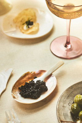 Shell Caviar Dish | Anthropologie (US)