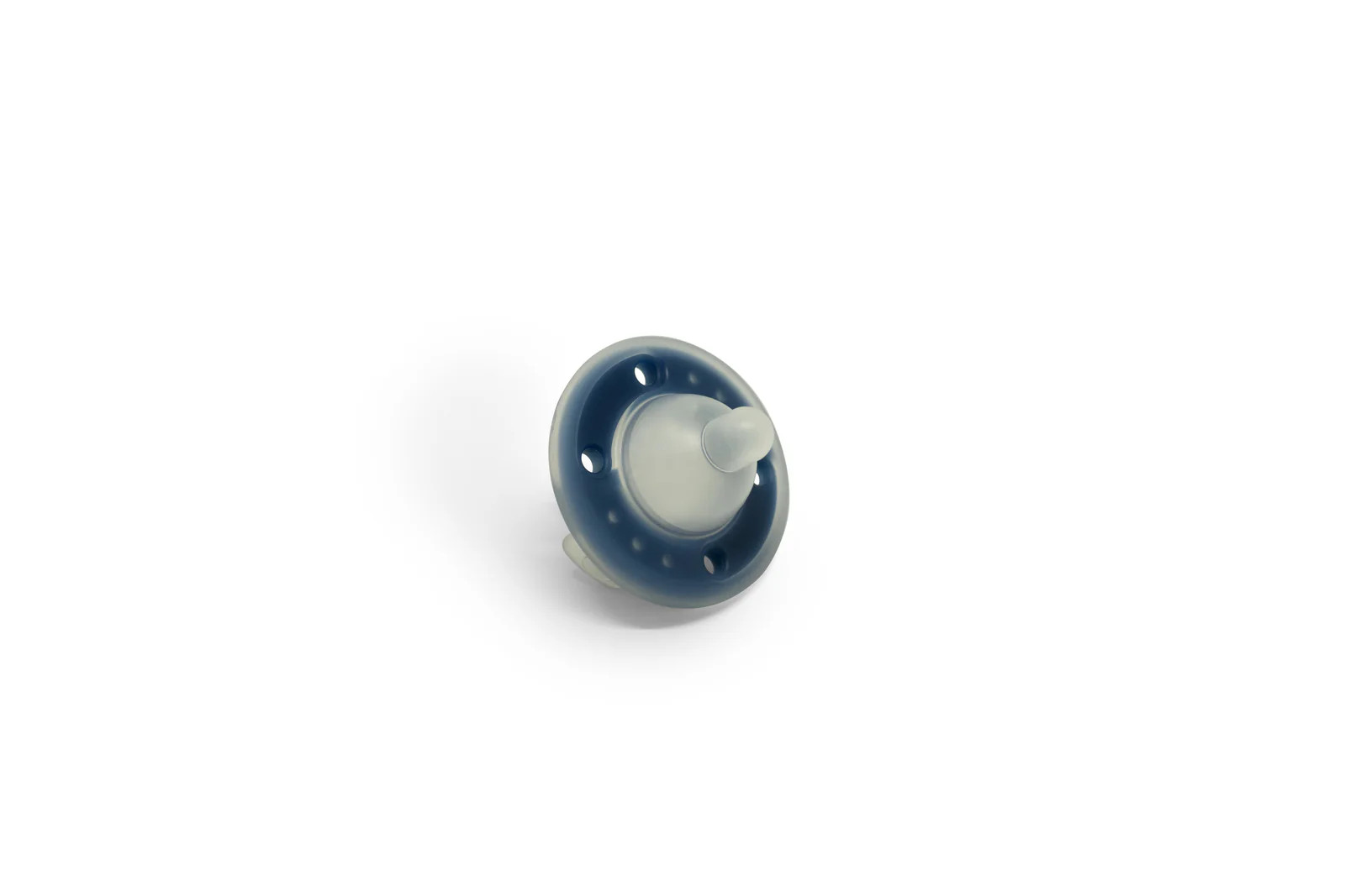 Blueberry  - EXPO | Ninni Co
