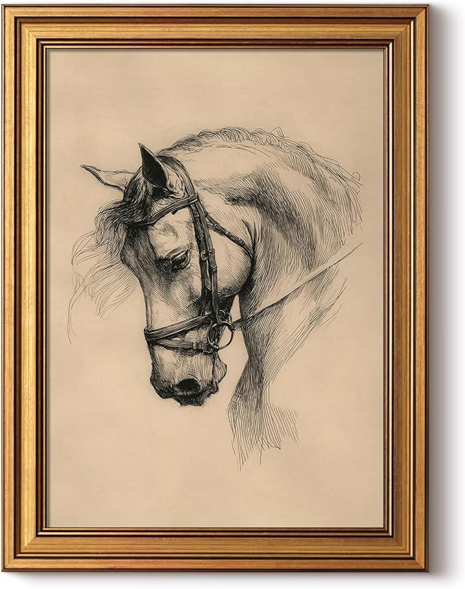 InSimSea Gold Framed Canvas Prints Wall Art, Vintage Horse Decor, Sketch Animal Paintings Farmhou... | Amazon (US)
