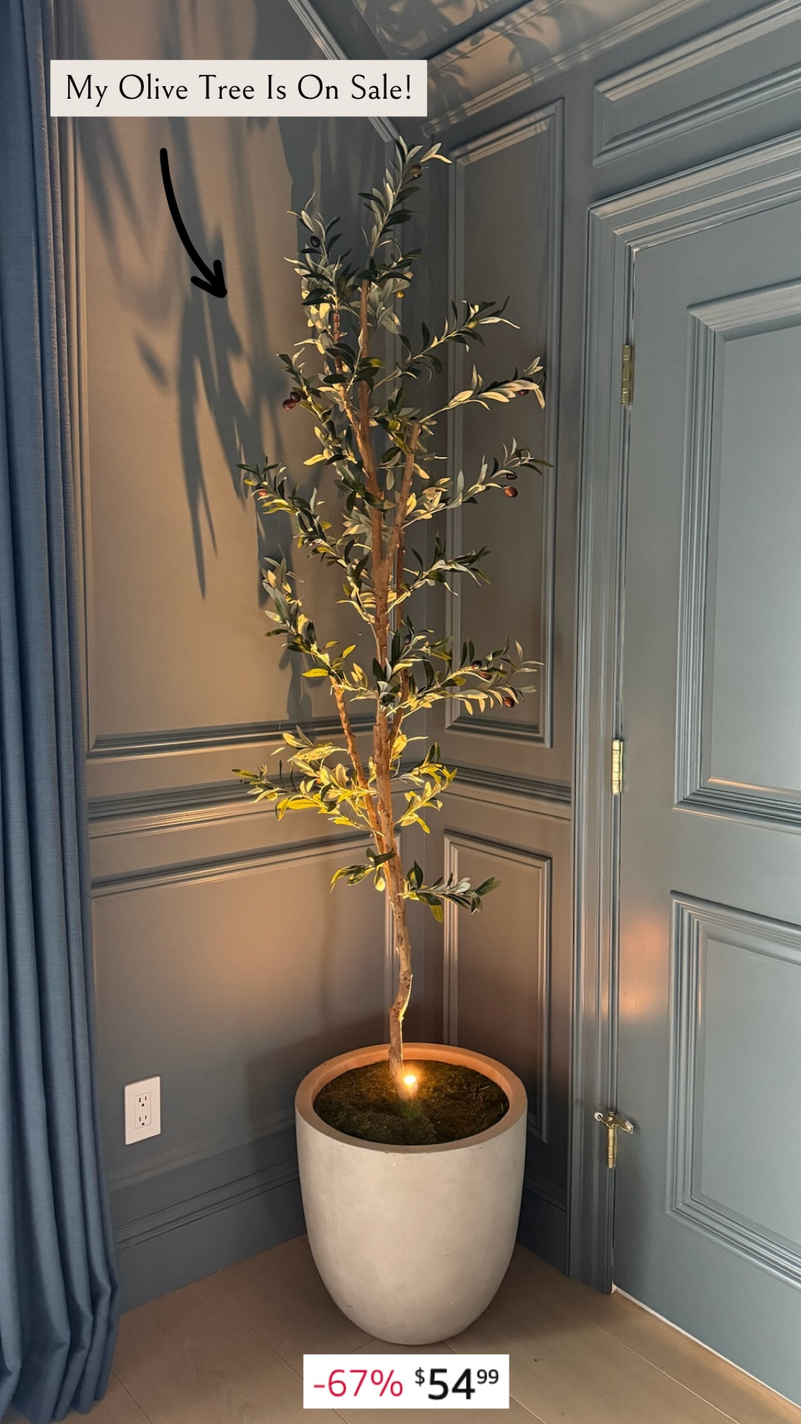 My Amazon olive tree is on sale now! #amazonhome #salealert 

#LTKHome #LTKSaleAlert #LTKStyleTip