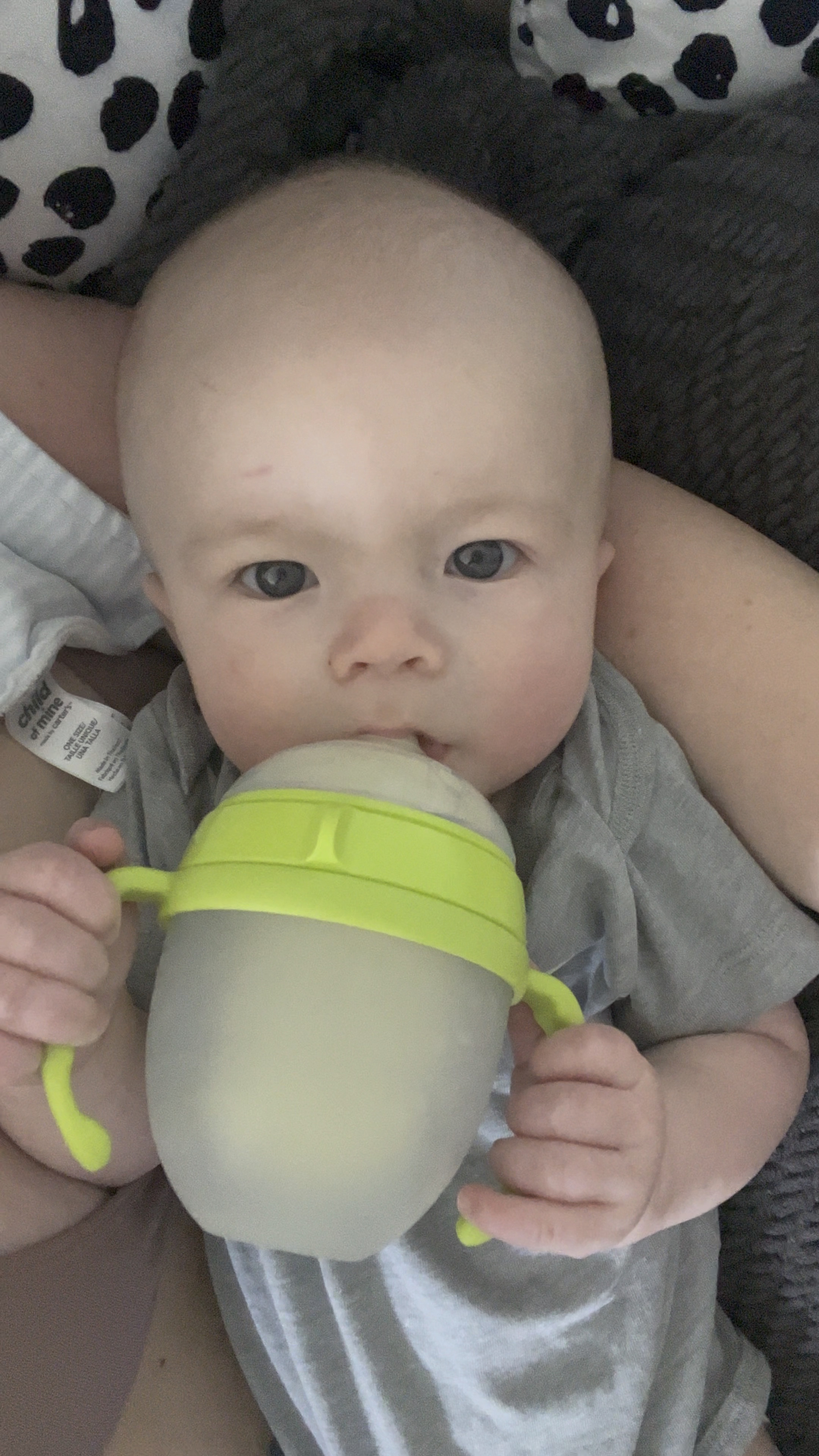 Como tomo compatible bottle handles 🍼 that allow my 5 month old to hold his own bottle. 

Baby bottles | Como tomo | baby development | 5 month old | baby boy | milk | feeding 

#LTKbaby
