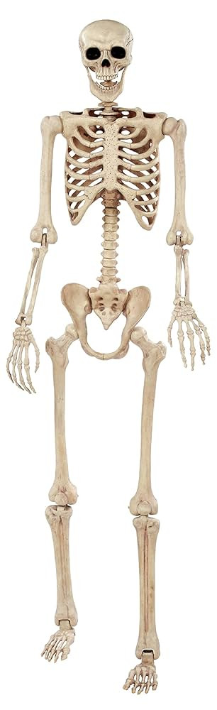 Crazy Bonez Pose-N-Stay Life Size 6 FT Skeleton with Realistic Posable and Movable Joints for Hal... | Amazon (US)