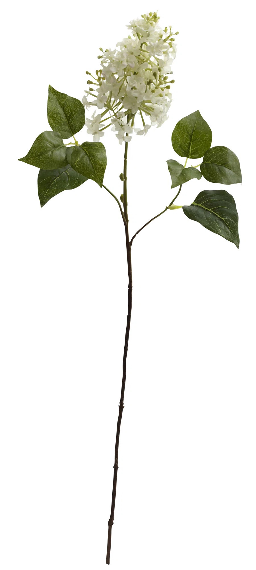 Compare Similar Items | Wayfair North America