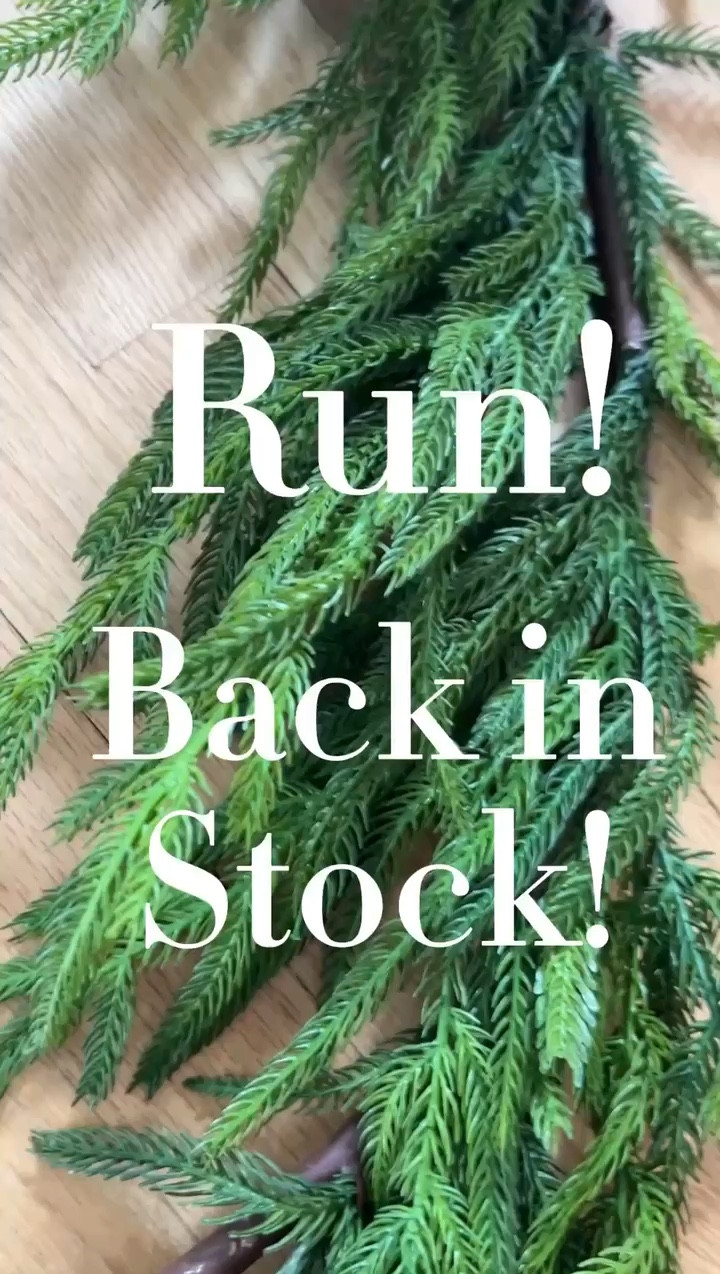 My favorite Christmas garland is back in stock! It always sells out well before the holidays so now is the time to grab it!
11/5

#LTKHoliday #LTKVideo #LTKHome