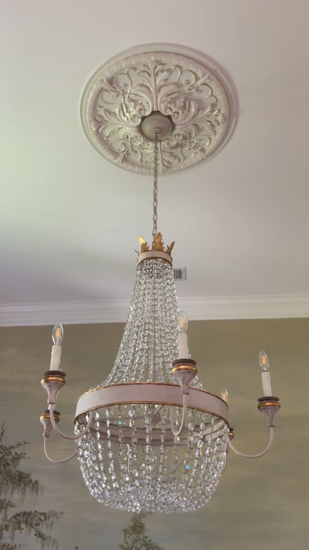 We loved this chandelier at our rental house so much that we decided to get it for our new build too! We’re putting it in the dining room! #homedecor #visualcomfort #julieneill #chandelier 

#LTKVideo #LTKHome