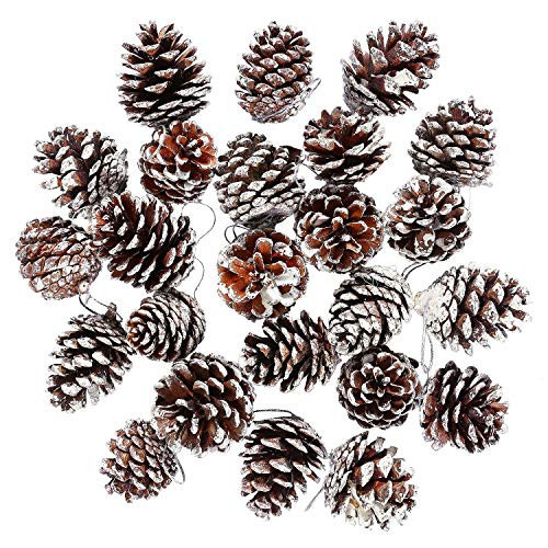 Cooraby 24 Pieces Christmas Pine Cones Ornament Natural Pinecones with String Pendant Crafts for Gift Tag Christmas Tree Party Hanging Decoration, Assorted Sizes from 1.37 to 2.36 Inch (Snow) | Amazon (US)