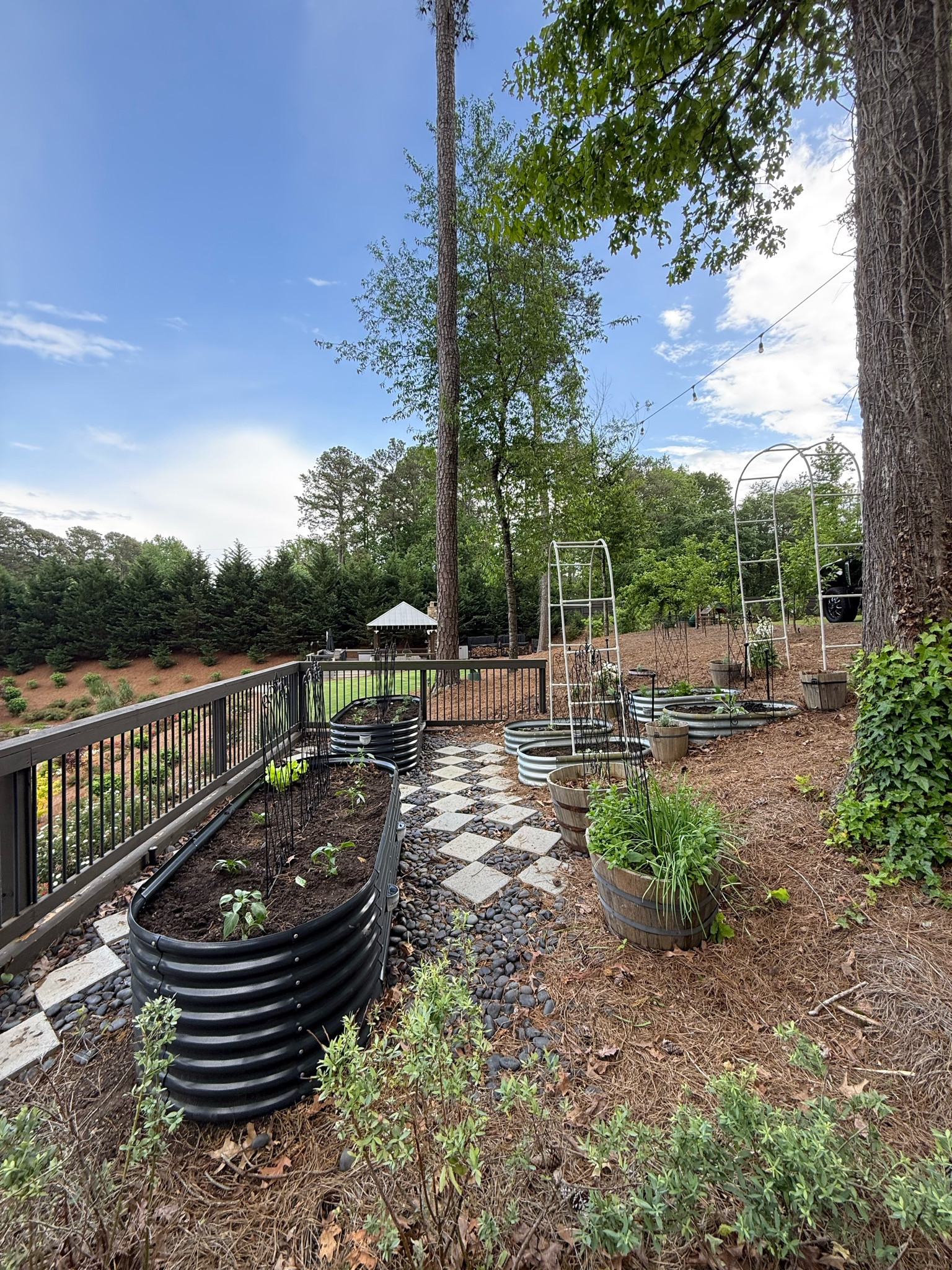 In my garden girl era 🥕🍃🥗🐰👩‍🌾
These metal planters are seriously good for quality! They look brand new! 

#LTKSeasonal #LTKHome #LTKFamily
