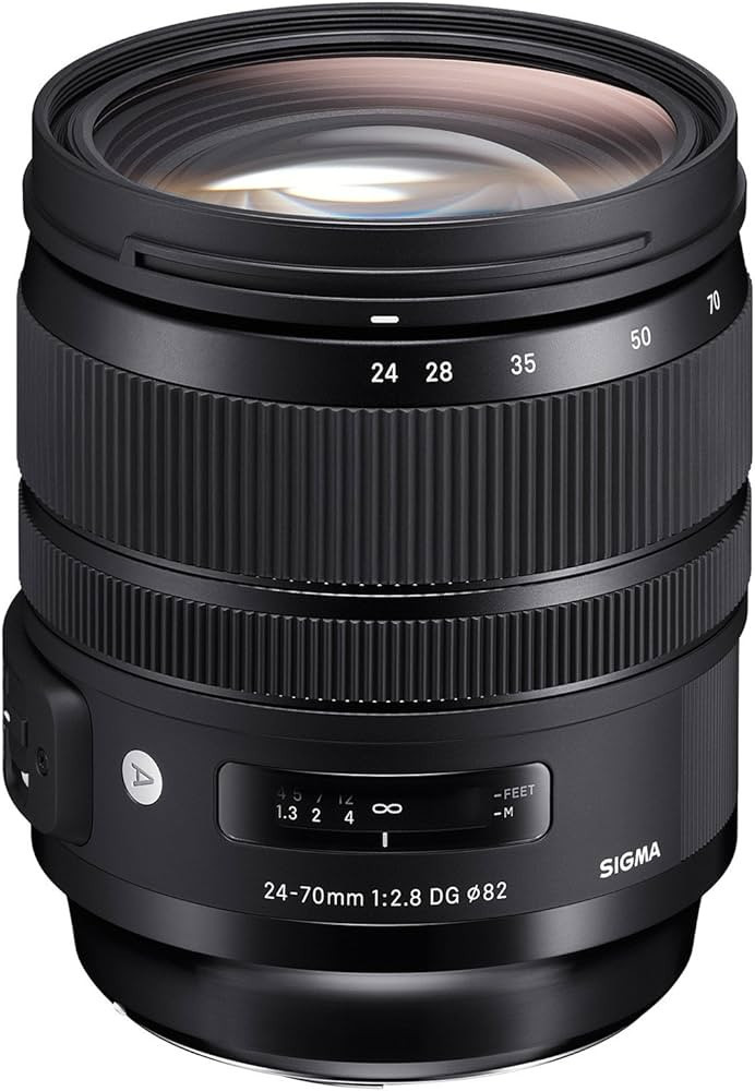 Sigma 24-70mm f/2.8 DG OS HSM Art Lens for Nikon F | Amazon (US)