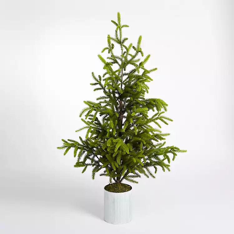 New! Potted Norway Spruce Christmas Tree, 60 in. | Kirkland's Home
