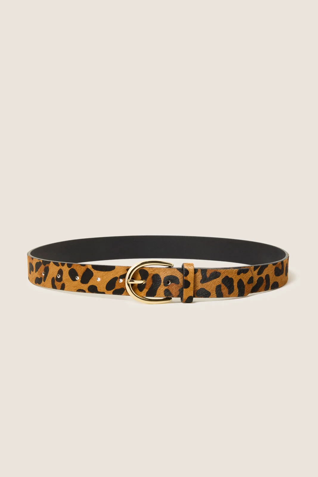 EVEREVE Women's Trixie Leopard Belt, Size Medium/Large, Brown | Evereve