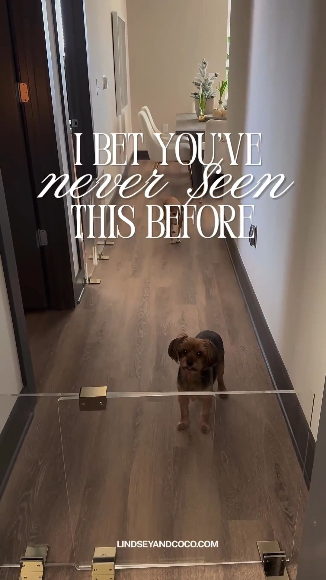 Apartment Therap Spring Refresh
Dog Mom Edition: Clear Pet Gates

Scroll to shop.

#LTKPet

#LTKHome #LTKdayinmylife