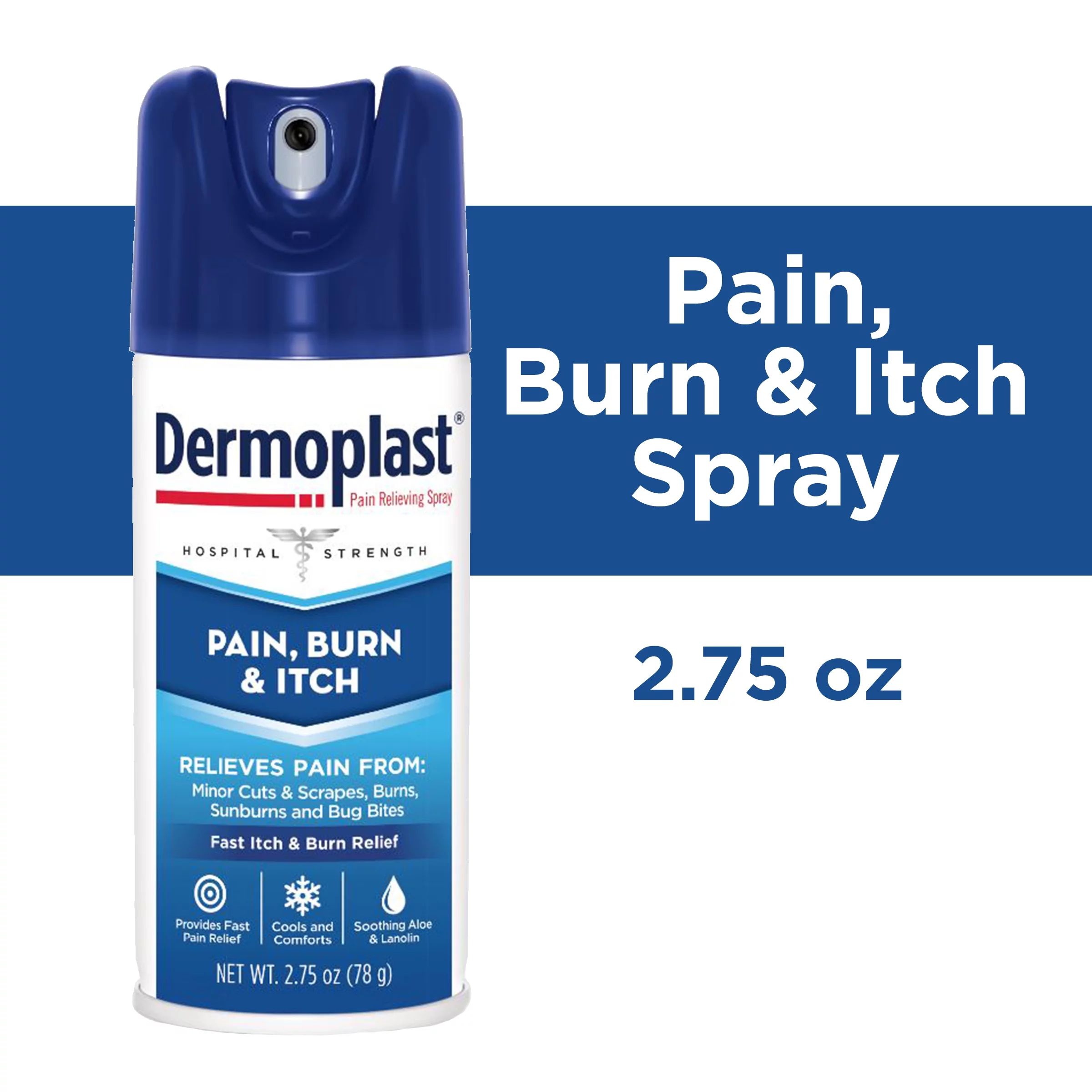 Dermoplast Pain, Burn & Itch Relieving Spray - 2.75 oz | Walmart (US)
