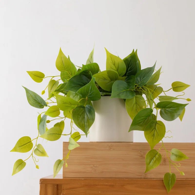 Faux Foliage Plant in Ceramic Pot | Wayfair Professional