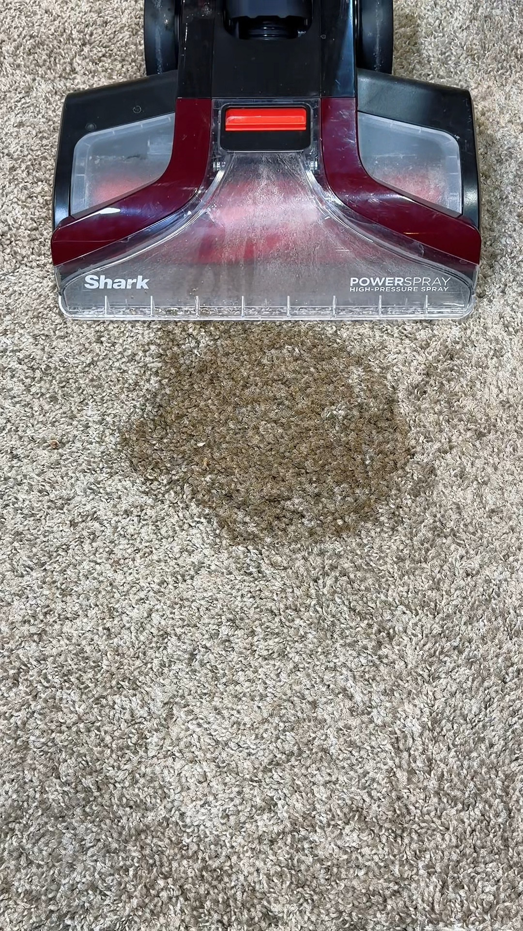 The CarpetXpert pulls out tough stains 

#LTKSaleAlert