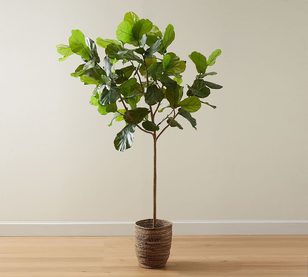 Faux Fiddle Leaf Fig Trees | Pottery Barn (US)
