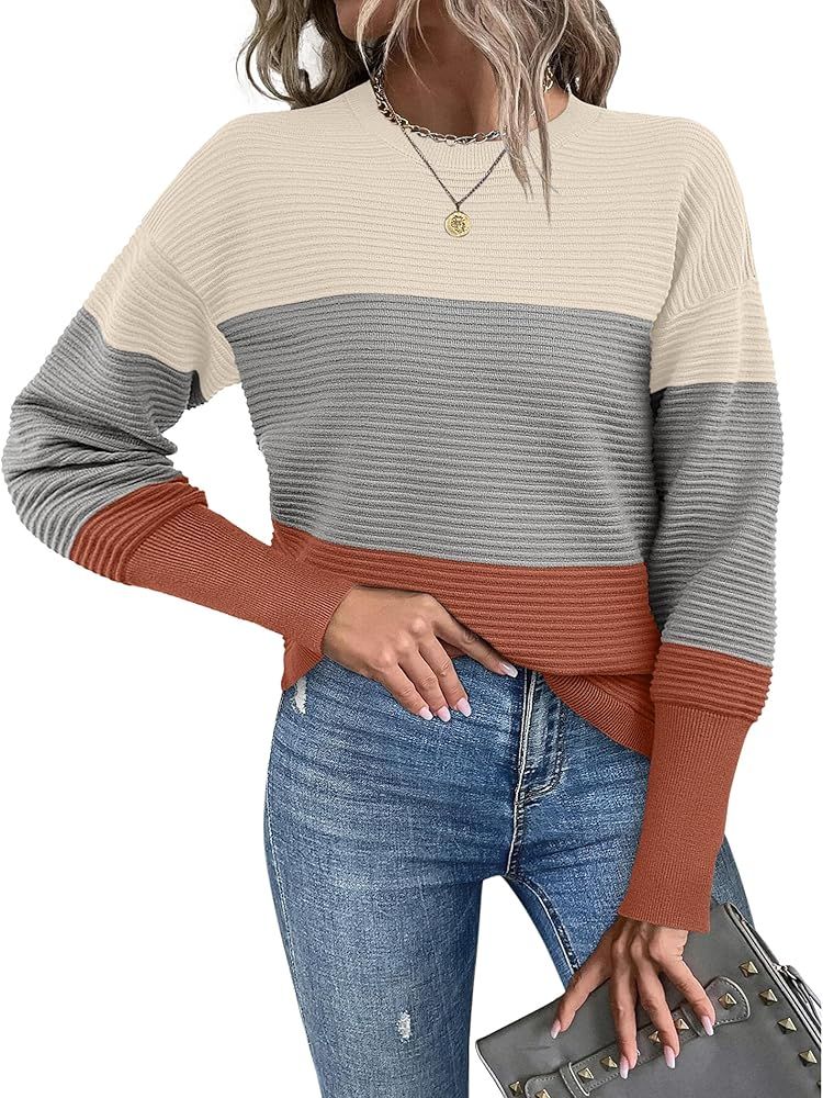 Zeagoo Women's Crew Neck Ribbed Knit Sweater 2024 Fall Long Sleeve Oversized Pullover Sweaters To... | Amazon (US)