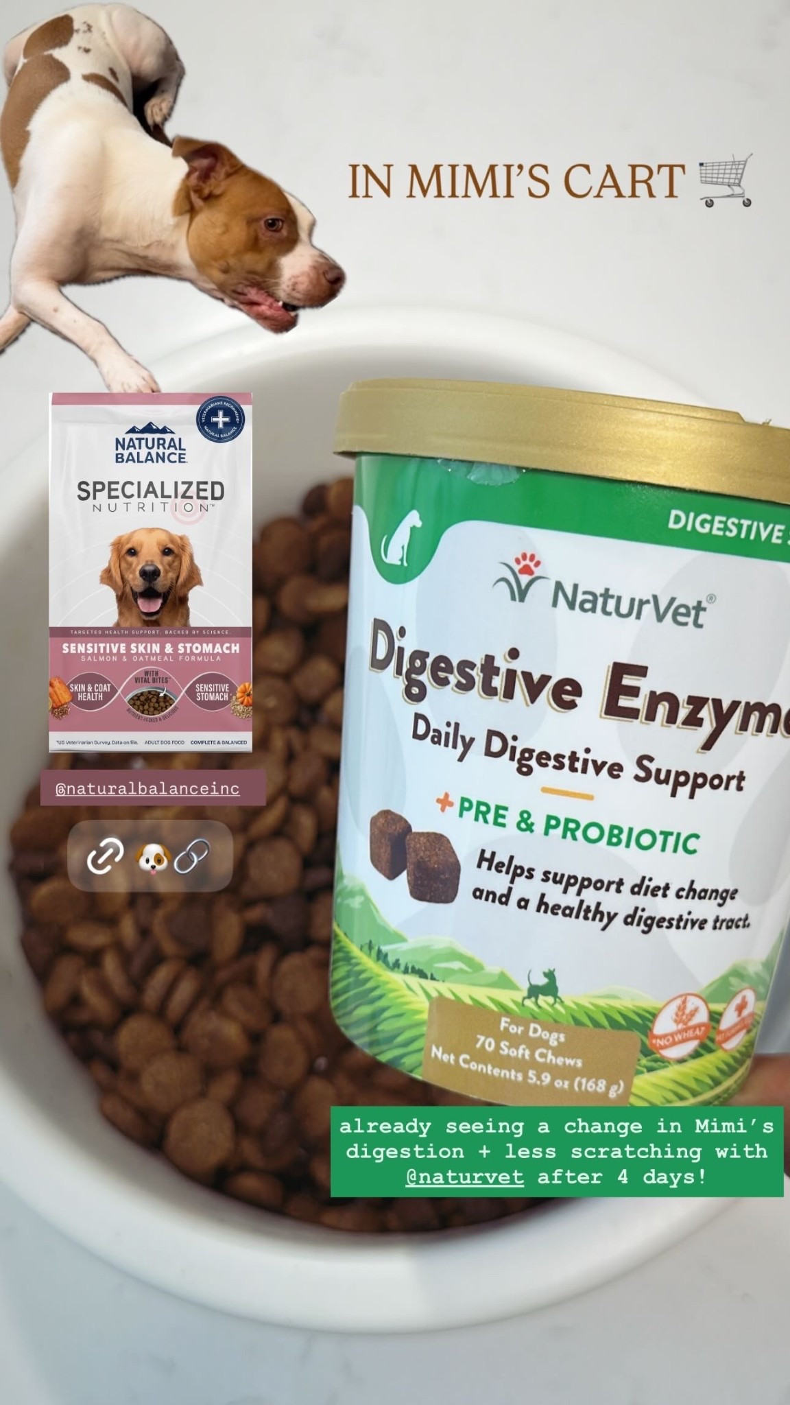 DOG FOOD !! 

#LTKPets #LTKFindsUnder100