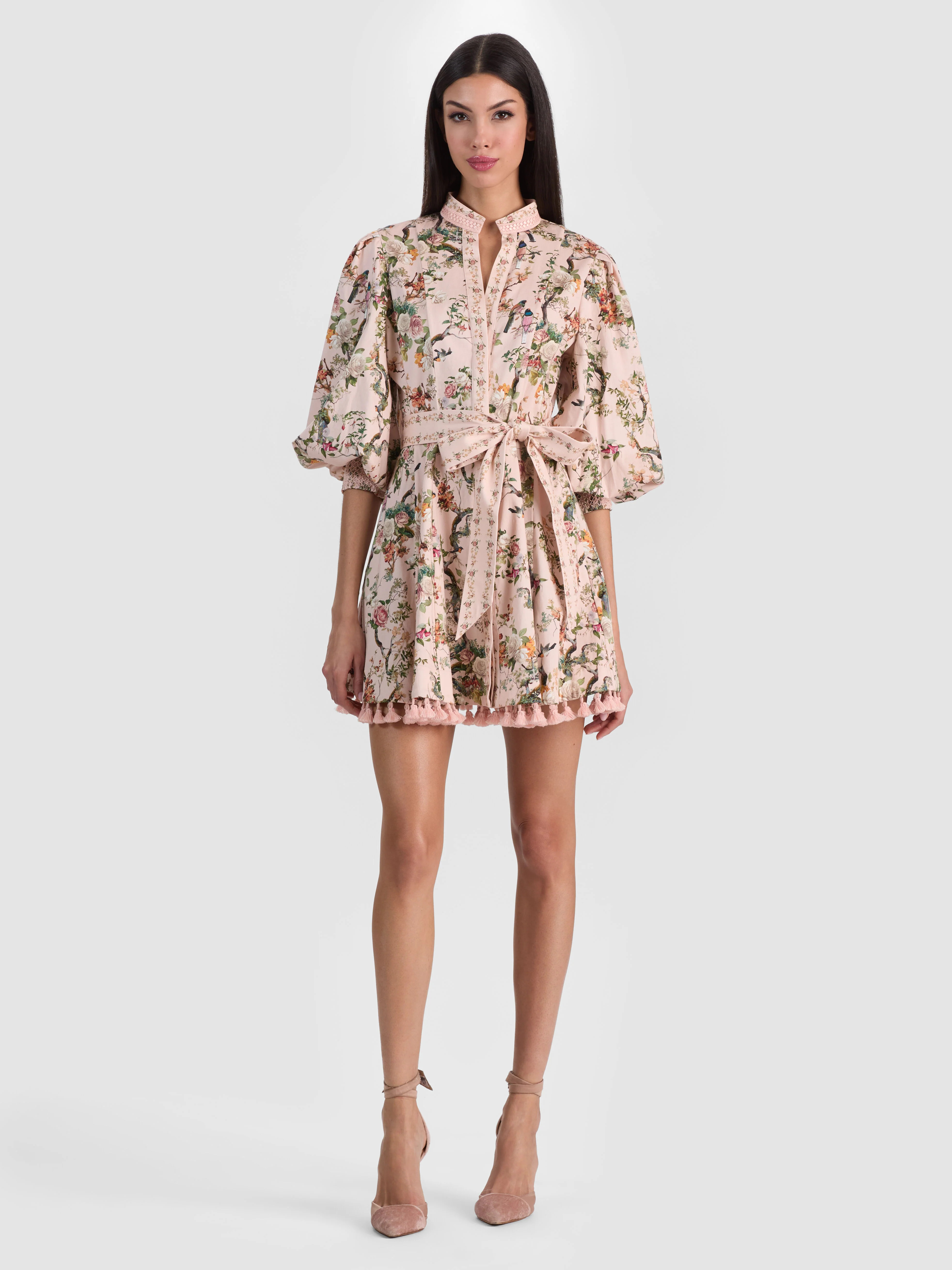 LUCY MINI SHIRT DRESS in SUNSET GROVE ENGLISH ROSE | ALICE + OLIVIA | Alice + Olivia