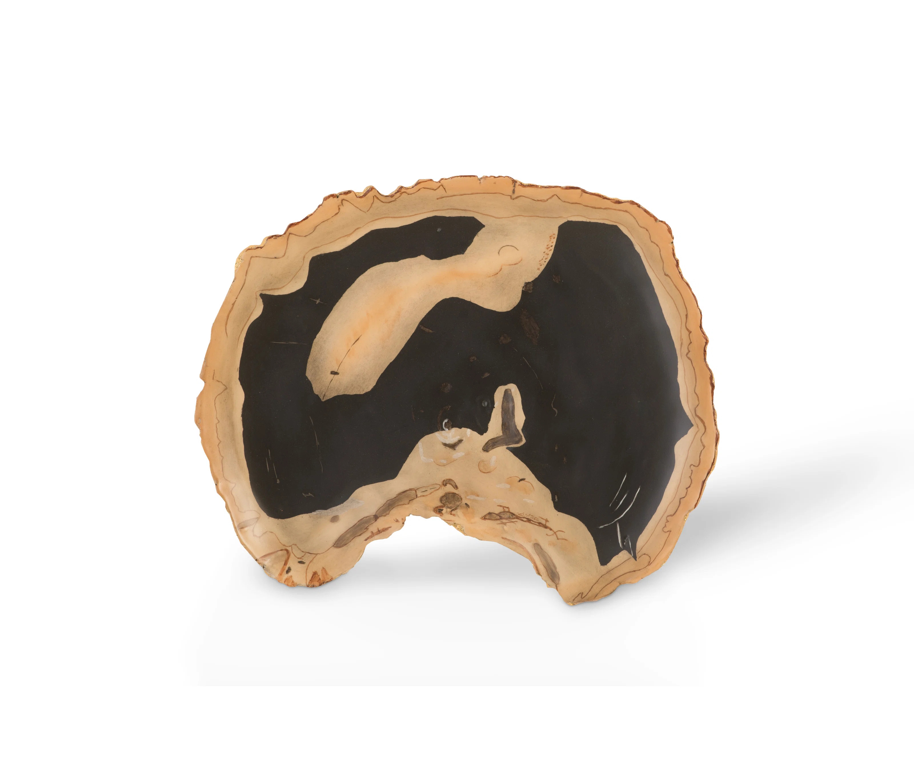 Cast Naturals Cast Petrified Wood Resin Wall Décor | Perigold