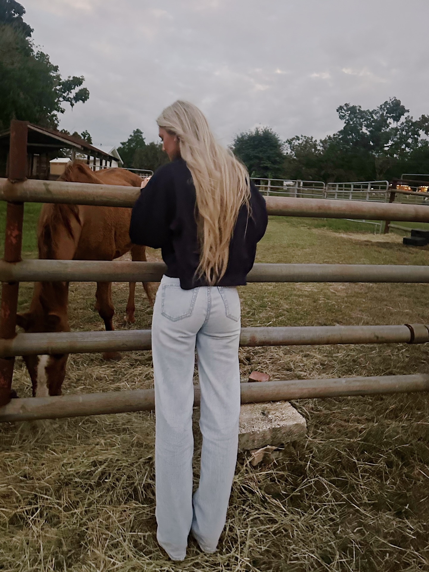 Gus was a paid actor 🍁🎃🐎