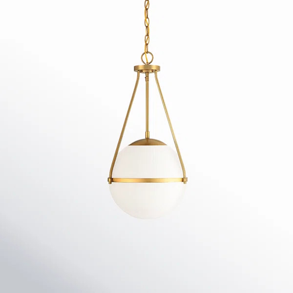 Romo Single Light Dimmable Pendant | Joss & Main