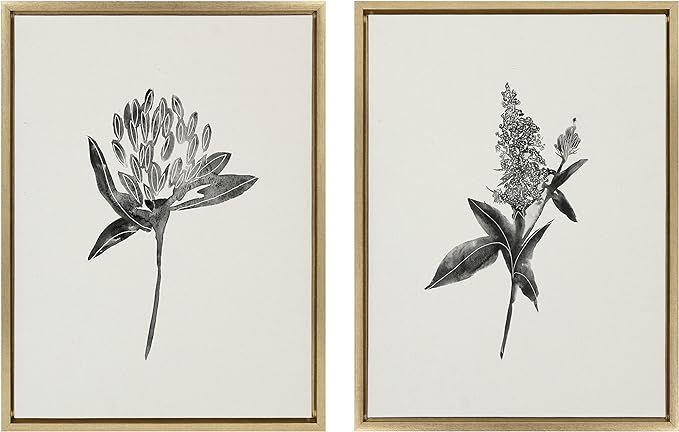 Kate and Laurel Sylvie Vintage Botanical 1 and 2 Linen Canvas Wall Art by Teju Reval of SnazzyHue... | Amazon (US)