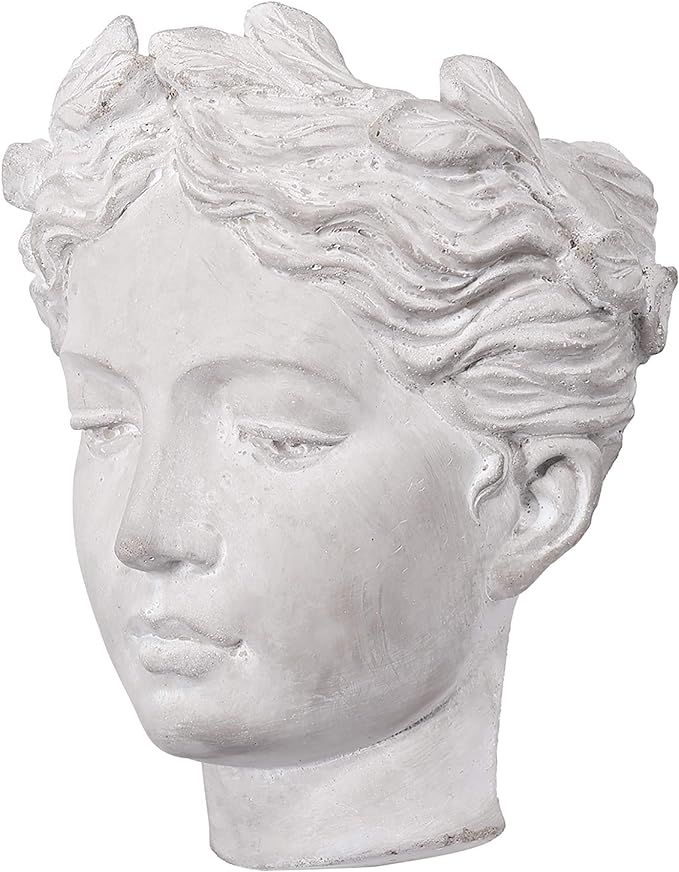 Classic Greek Lady Indoor/Outdoor Wall Mounted Cement Head Planter | Amazon (US)
