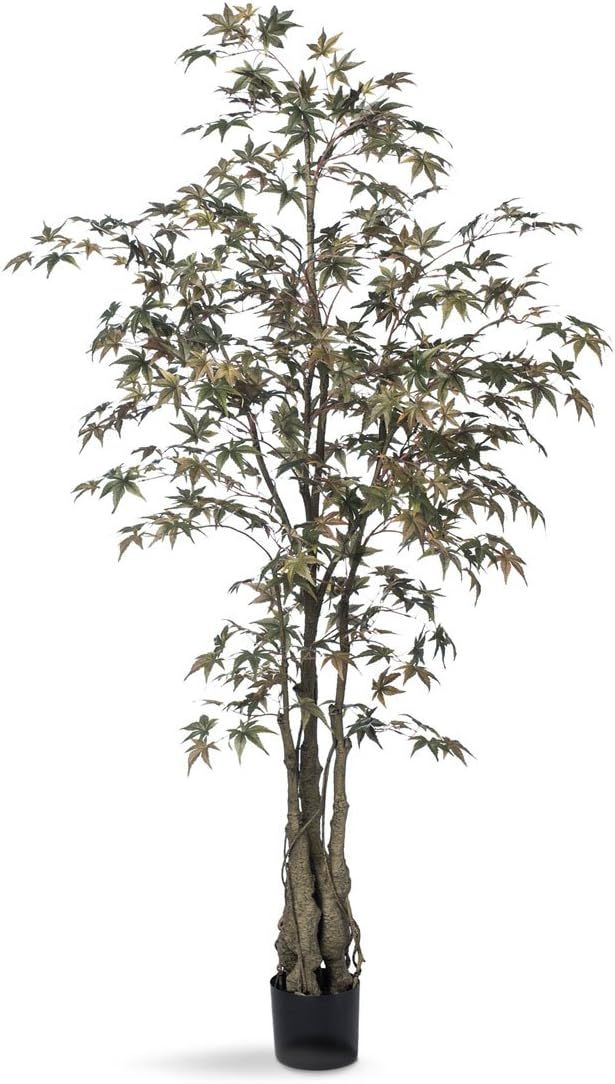 Petals - Japanese Maple Silk Tree - Handcrafted - Amazingly Lifelike - Natural Beauty (6-Foot) | Amazon (US)