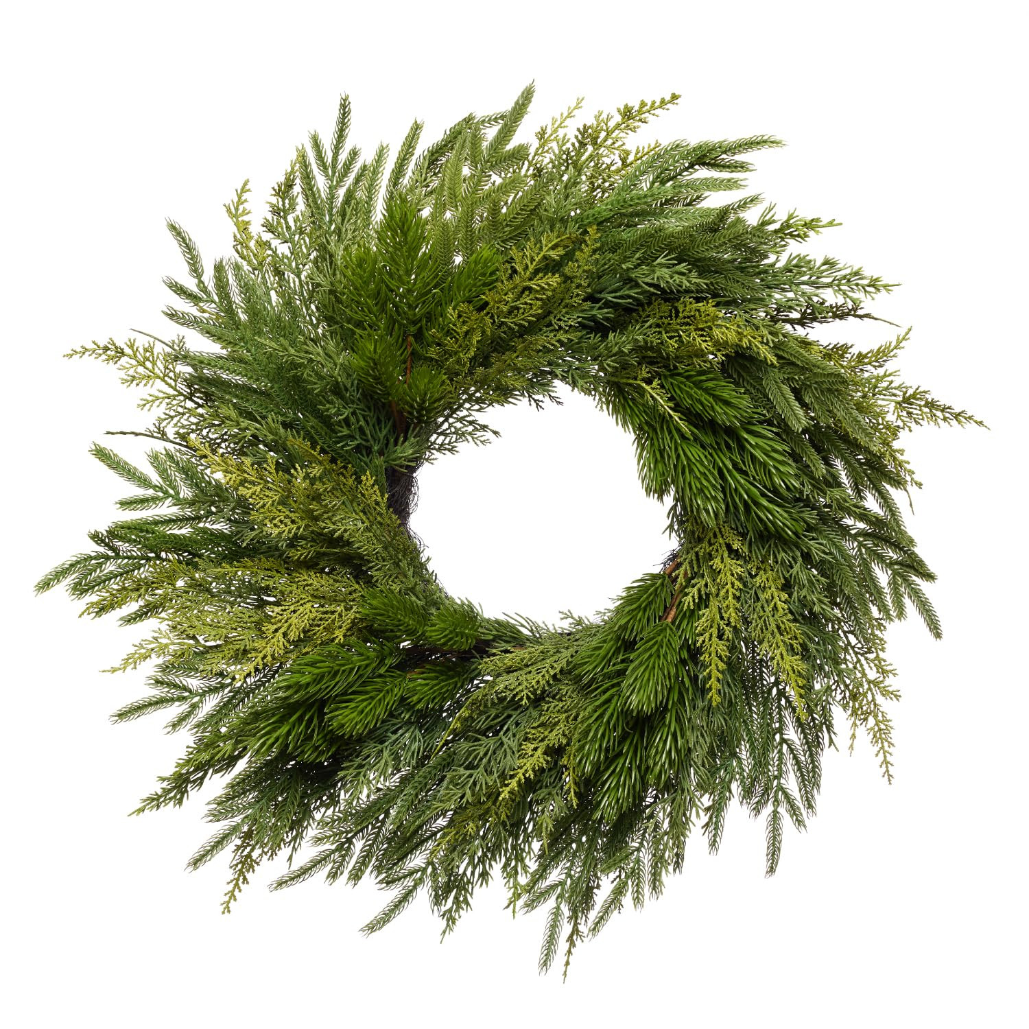 Somikis 24 Inch Christmas Wreaths for Front Door, Real Touch Norfolk Pine & Cedar Wreath for Wint... | Amazon (US)