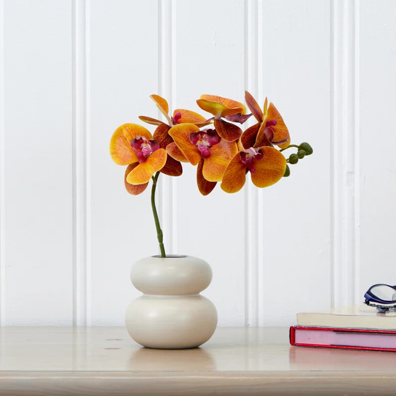 Allon Orchid Arrangement in Vase | Wayfair North America