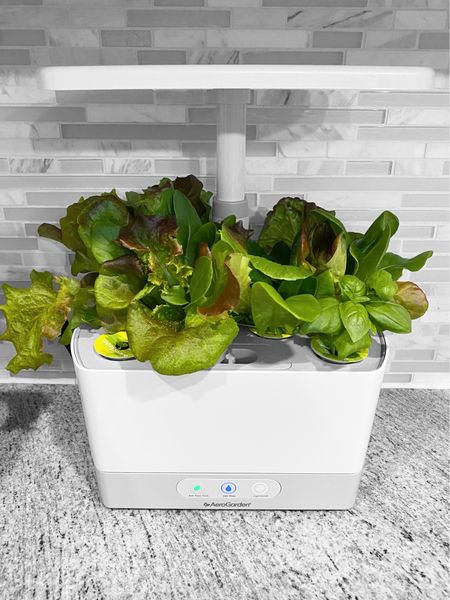 My indoor garden has been flourishing!

If you’re looking for a hydroponic  garden, check this one out!

#LTKhome